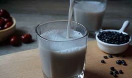 黑豆红枣芝麻豆浆,黑豆红枣芝麻豆浆，营养满分早餐新选择